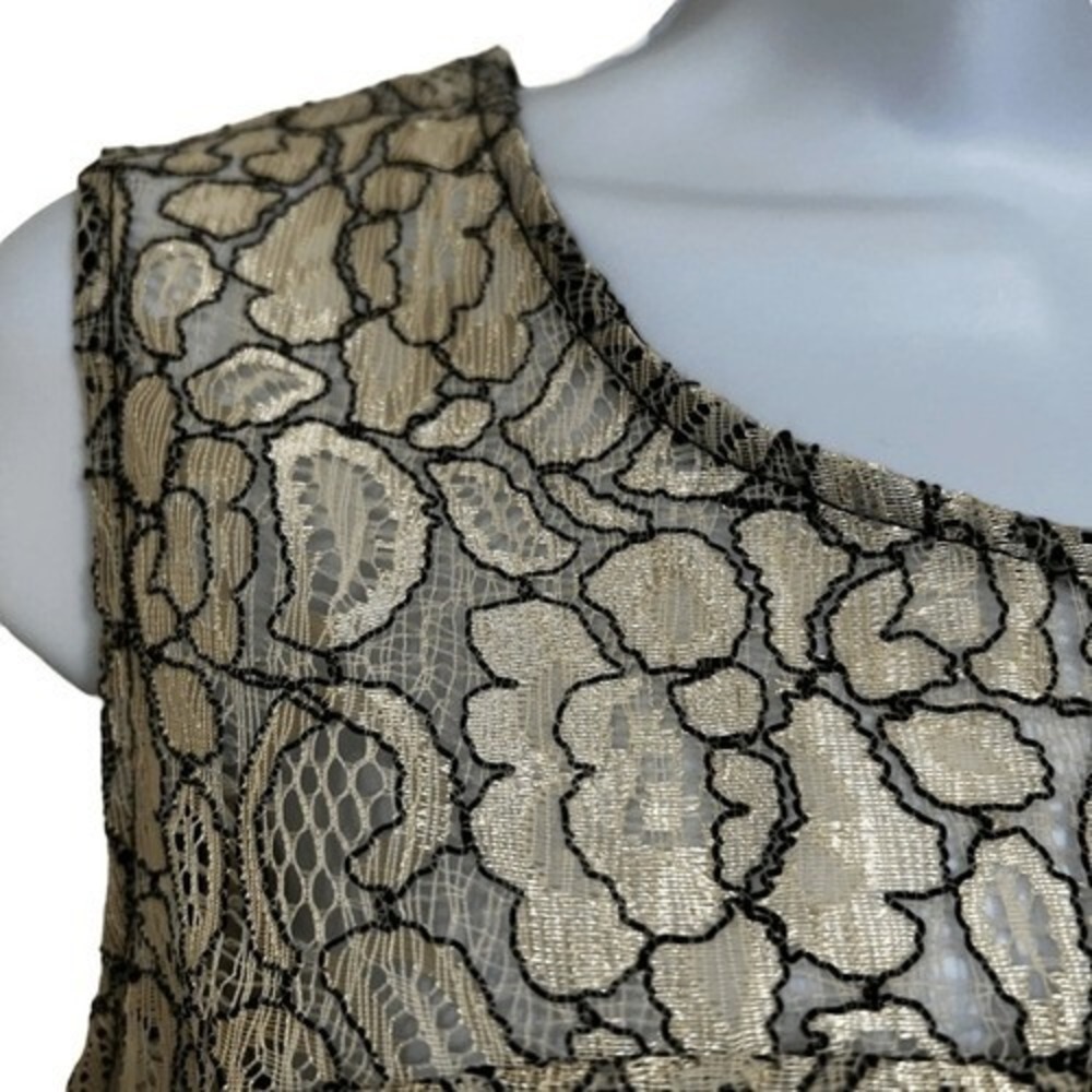 THE LIMITED Gorgeous Black With Champagne Brocade Lace Overlay NWOT Size‎ Small - Picture 4 of 9